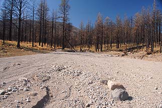 Shulz Pass, Arizona, October 30, 2011